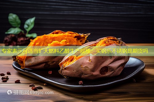 专家表示可适当扩大燃料乙醇生产规模：买钢乐不锈钢是期货吗