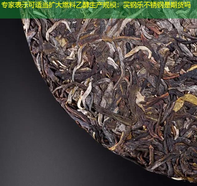 专家表示可适当扩大燃料乙醇生产规模