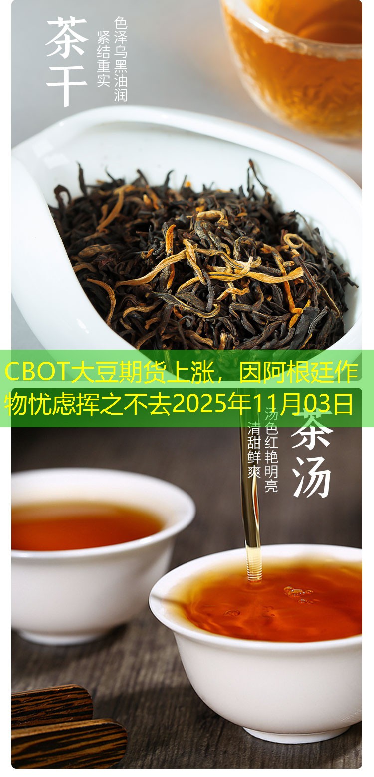 CBOT大豆期货上涨，因阿根廷作物忧虑挥之不去2025年11月03日