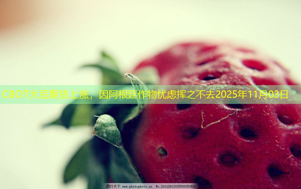 CBOT大豆期货上涨，因阿根廷作物忧虑挥之不去2025年11月03日