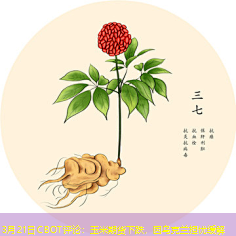 3月21日CBOT评论：玉米期货下跌，因乌克兰担忧缓解