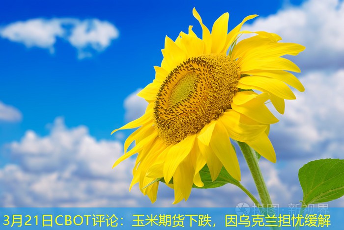 3月21日CBOT评论：玉米期货下跌，因乌克兰担忧缓解