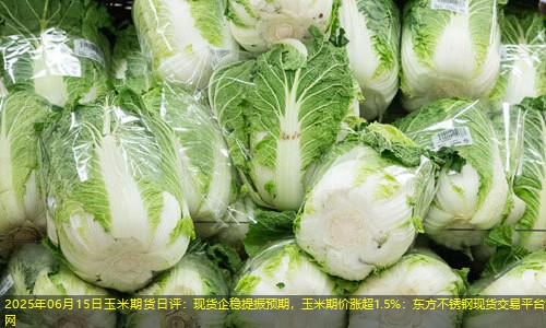 2025年06月15日玉米期货日评：现货企稳提振预期，玉米期价涨超1.5%