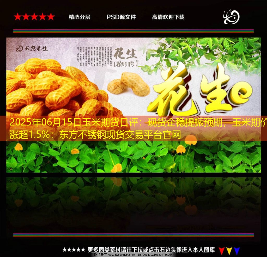 2025年06月15日玉米期货日评：现货企稳提振预期，玉米期价涨超1.5%