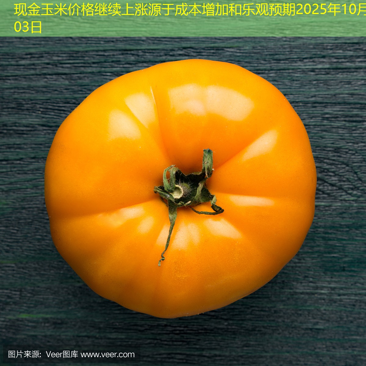 现金玉米价格继续上涨源于成本增加和乐观预期2025年10月03日