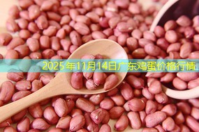 2025年11月14日广东鸡蛋价格行情