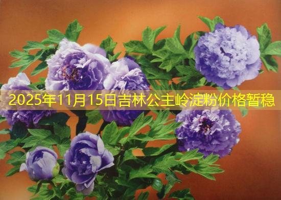 2025年11月15日吉林公主岭淀粉价格暂稳