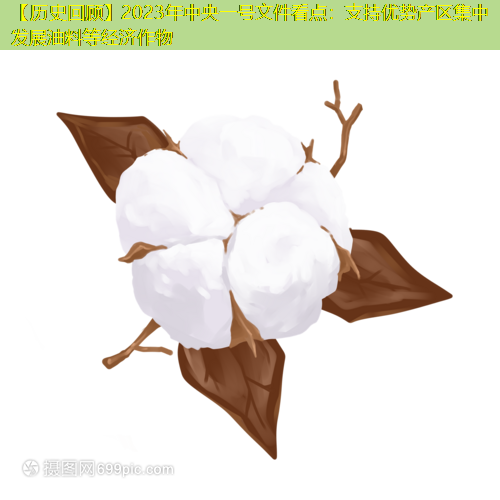 【历史回顾】2023年中央一号文件看点：支持优势产区集中发展油料等经济作物