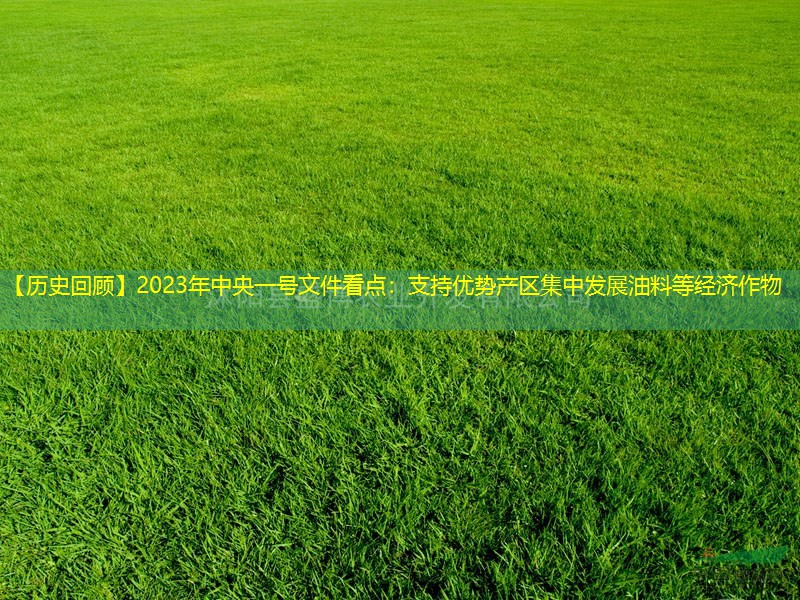 【历史回顾】2023年中央一号文件看点：支持优势产区集中发展油料等经济作物
