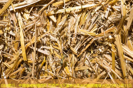 CBA银行：中国缩减种植面积 巴西产出下滑将令玉米过剩规模缩小2025年12月31日