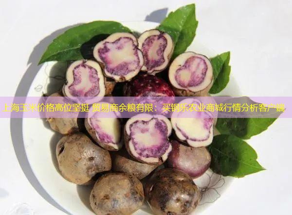 上海玉米价格高位坚挺 贸易商余粮有限：买钢乐农业商城行情分析客户端