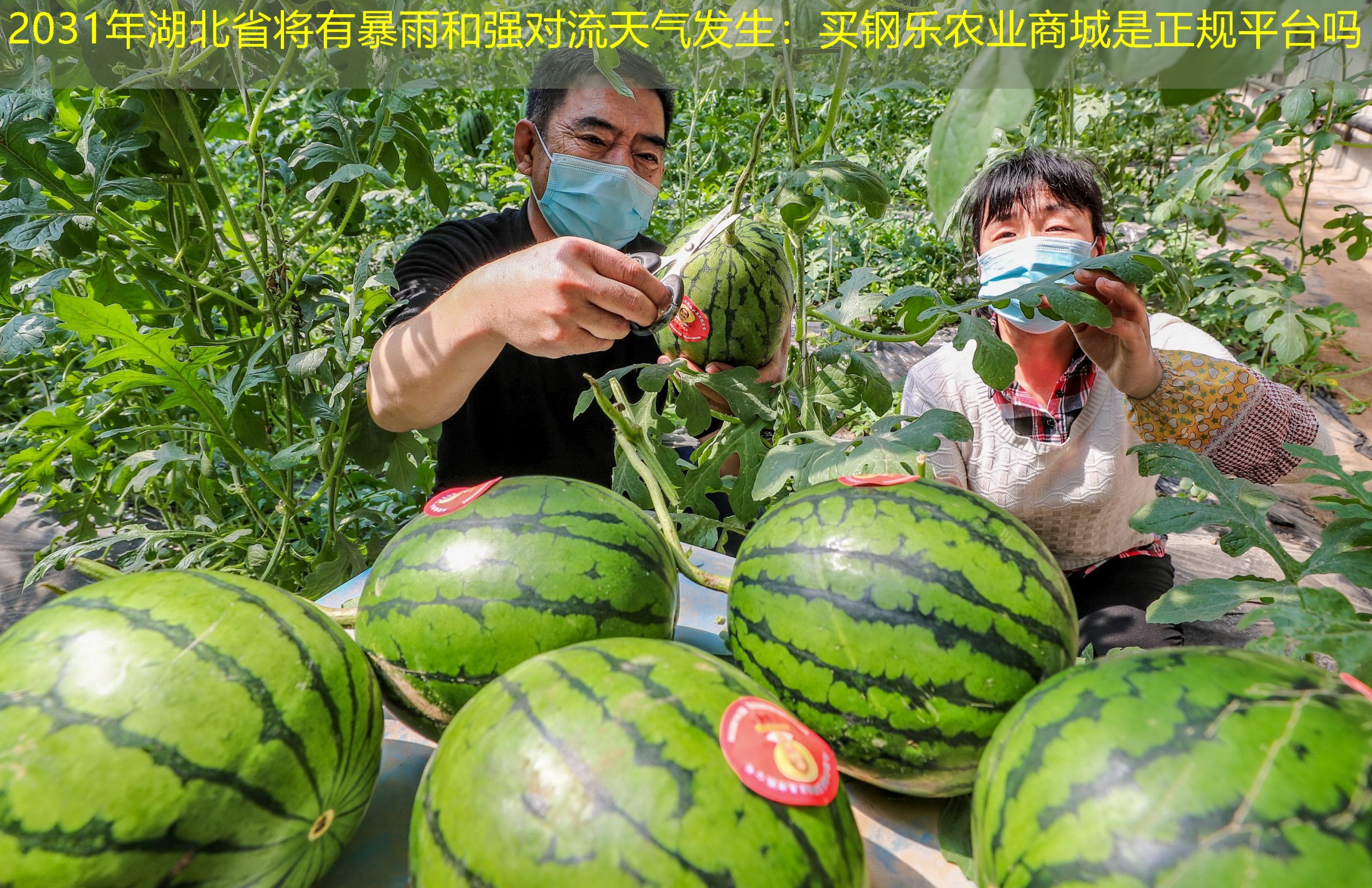 2031年湖北省将有暴雨和强对流天气发生