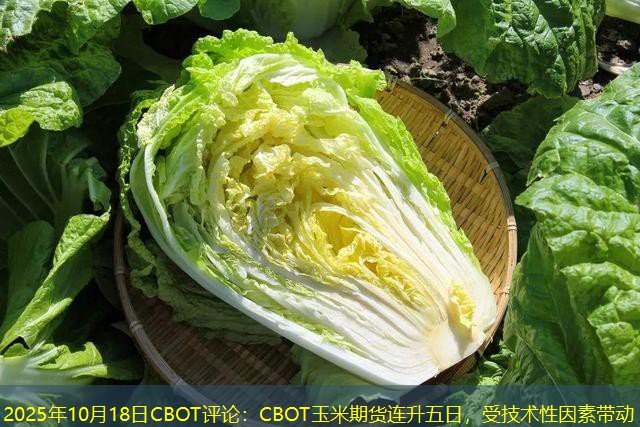 2025年10月18日CBOT评论：CBOT玉米期货连升五日，受技术性因素带动