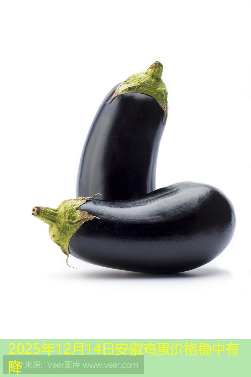 2025年12月14日安徽鸡蛋价格稳中有降