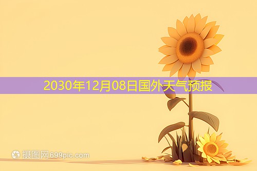 2030年12月08日国外天气预报