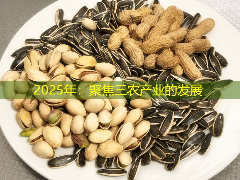 2025年：聚焦三农产业的发展