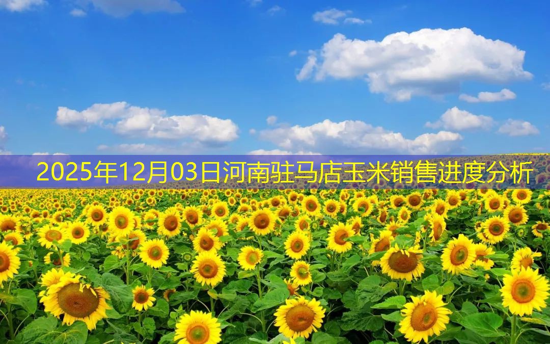2025年12月03日河南驻马店玉米销售进度分析