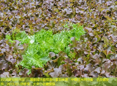 2025年10月15日 - 国家降水量预测分享到来源：中国玉米网作者：王丹娜发布：2013-07-08字号：大中小收藏预报