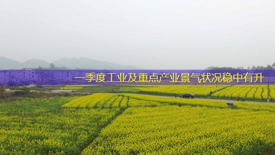 一季度工业及重点产业景气状况稳中有升