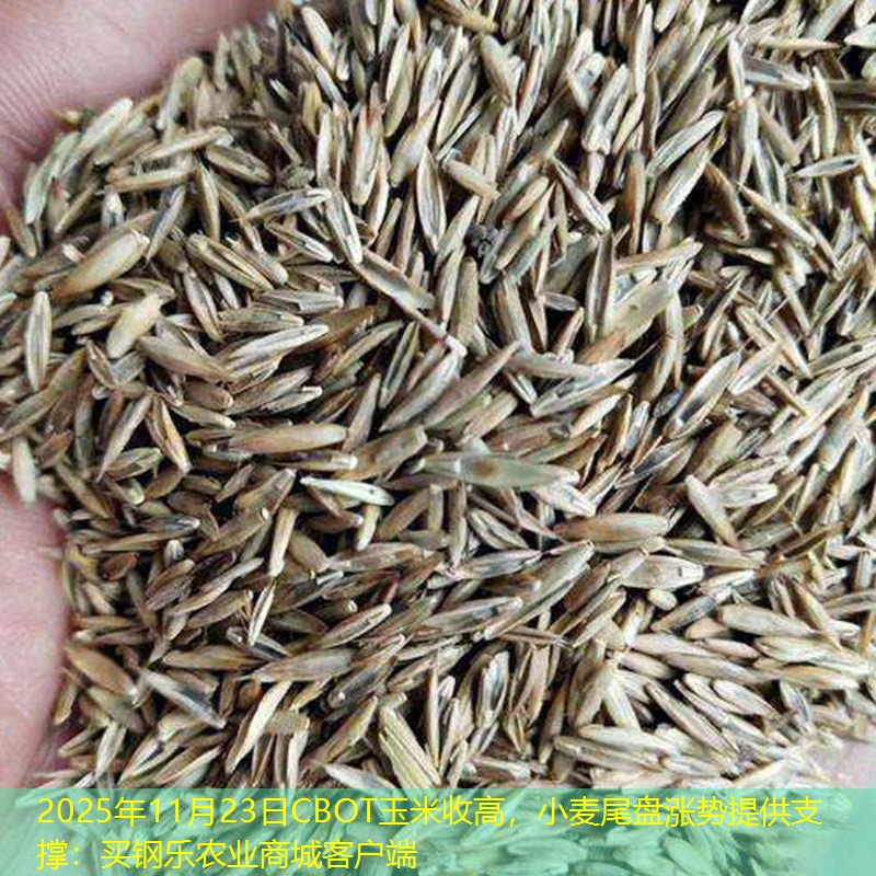 2025年11月23日CBOT玉米收高，小麦尾盘涨势提供支撑