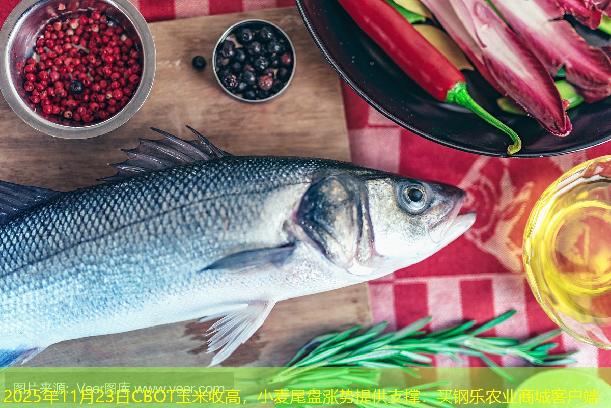 2025年11月23日CBOT玉米收高，小麦尾盘涨势提供支撑