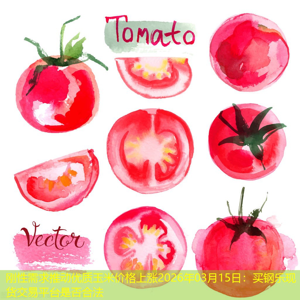 刚性需求推动优质玉米价格上涨2026年03月15日：买钢乐现货交易平台是否合法