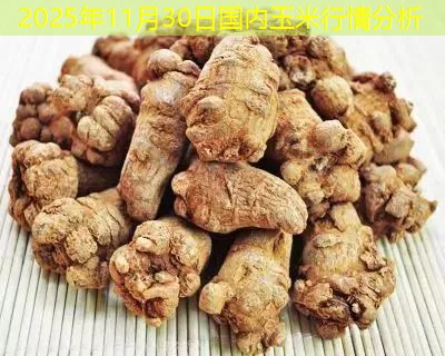 2025年11月30日国内玉米行情分析
