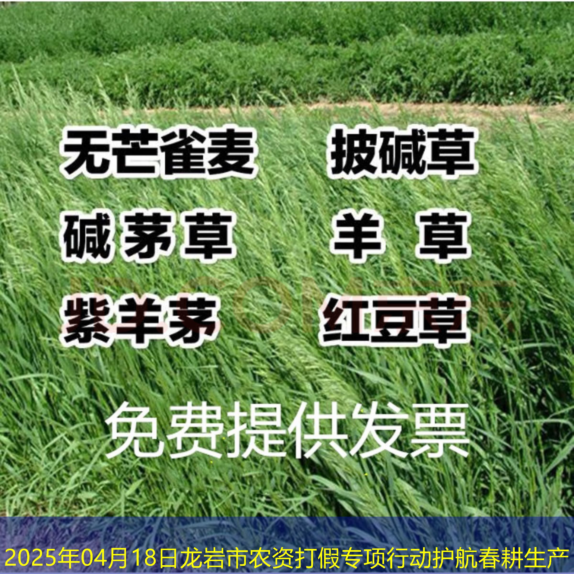 2025年04月18日龙岩市农资打假专项行动护航春耕生产