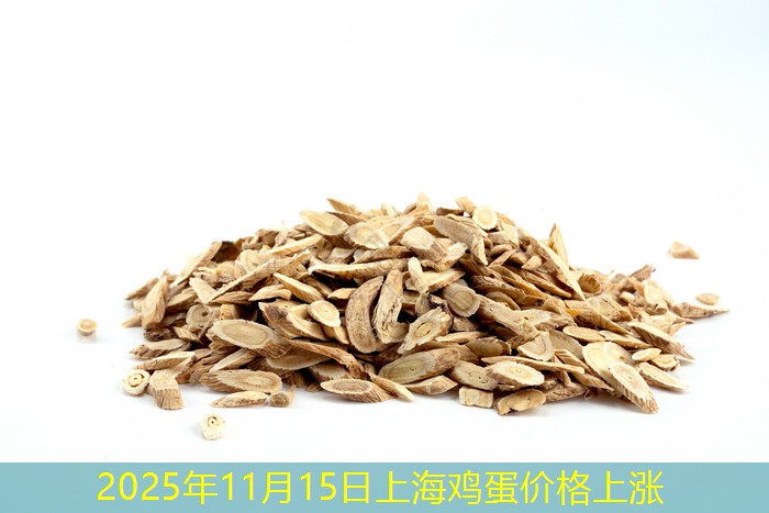 2025年11月15日上海鸡蛋价格上涨