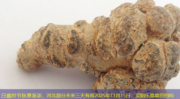 白露时节秋意渐浓，河北部分未来三天有雨2025年11月15日：买钢乐是期货的吗