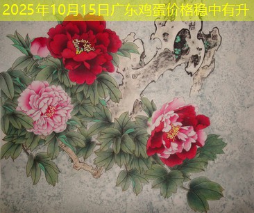 2025年10月15日广东鸡蛋价格稳中有升