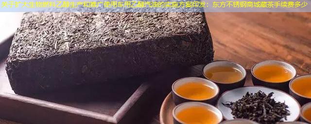 关于扩大生物燃料乙醇生产和推广使用车用乙醇汽油的实施方案印发